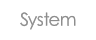 System